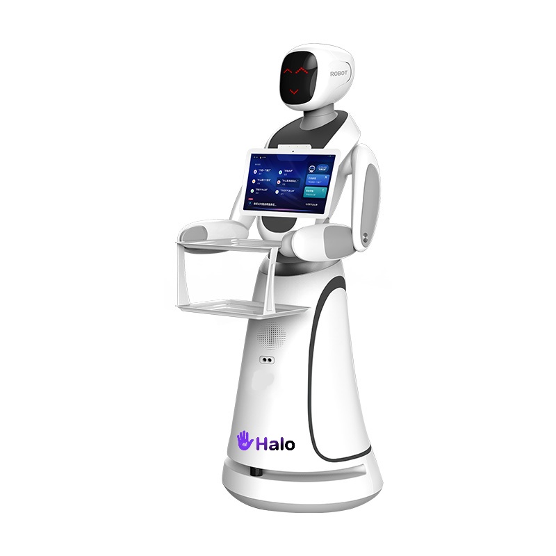Halo service robot